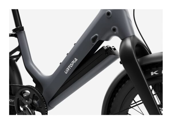 Carbon Joy Ultra E-Bike