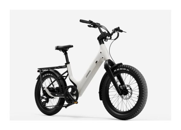 Carbon Joy Ultra E-Bike