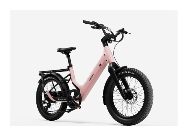 Carbon Joy Ultra E-Bike