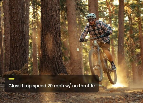 Aventon – Ramblas Ebike