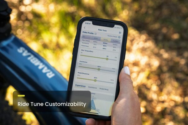 Aventon – Ramblas ADV Ebike